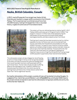 One Tree Planted Article - British Columbia