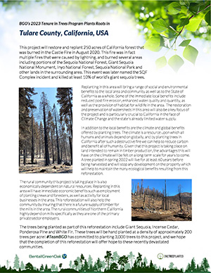One Tree Planted Article - California