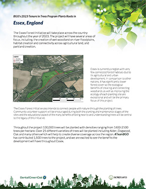 One Tree Planted Article - England