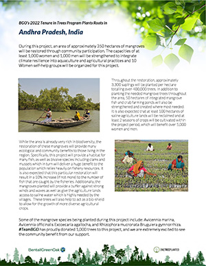 One Tree Planted Article - India