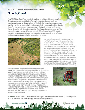 One Tree Planted Article - Ontario